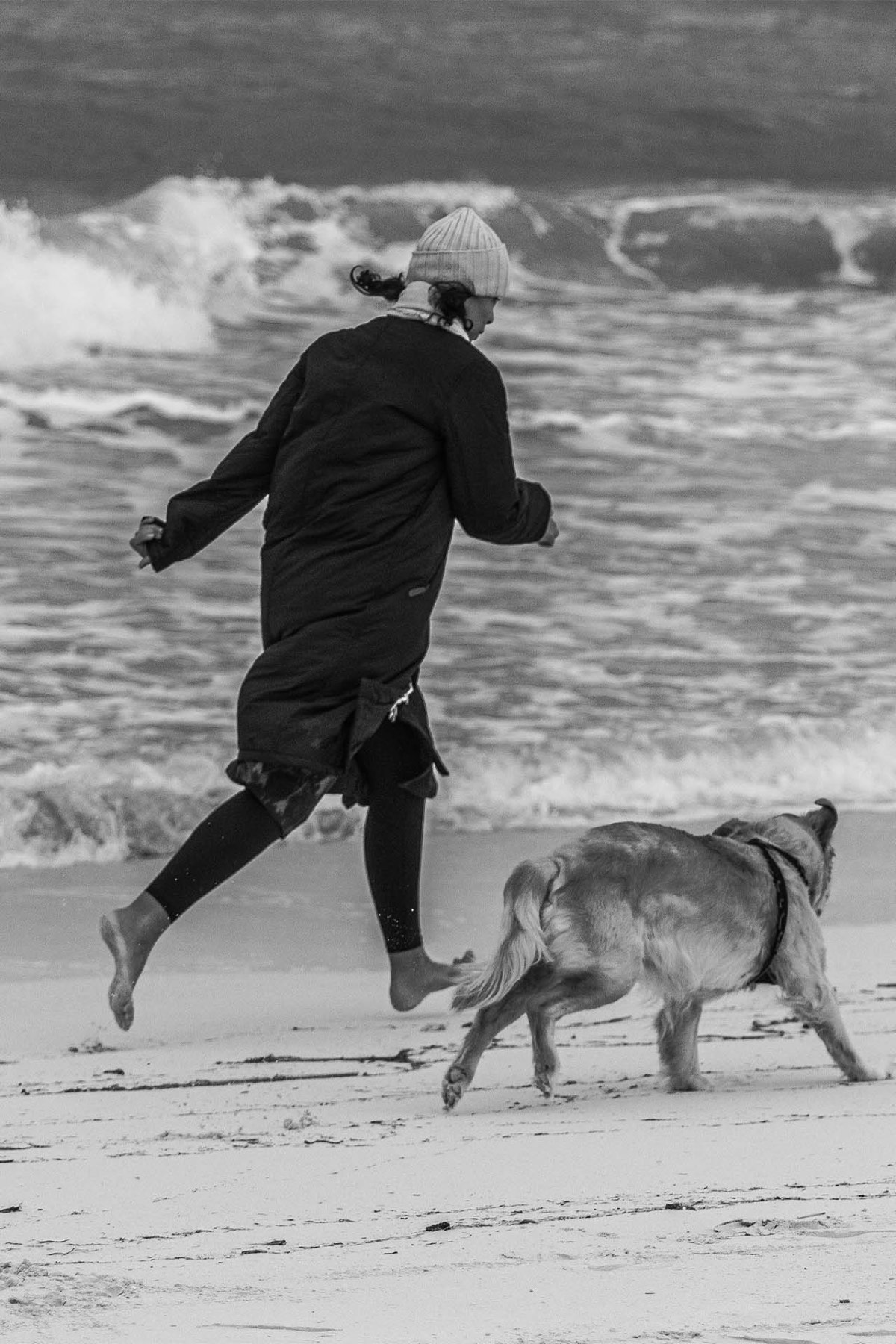 Dog friendly beach near Hotel Paradis
